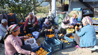 7'den 77'ye köylüler biraraya gelip köyü açık hava fabrikasına çevirdi!