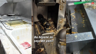 İstanbul'daki bir restoranın mutfağından mide bulandıran görüntüler