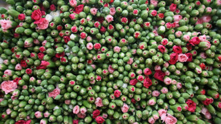 Türkiye'den Avrupa'ya 12 milyon Dolarlık yılbaşı ihracatı başladı!