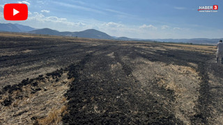 Doğanın katilleri suçüstü yakalandı: Ne yaptıklarına inanamayacaksınız!