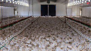 Türkiye'deki konkordato salgını bir sektöre daha sıçradı!