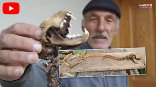 Ahırda buldu, paniğe kapılıp yetkililere haber verdi: ''İlk kez böyle bir şey gördüm''