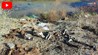 Dere yatağından gelen kokular korkunç gerçeği gözler önüne serdi!