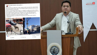 MHP'li belediye başkanından gazetecilere hakaret yağmuru