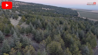 AK Partili belediyenin 1,2 milyon metrekarelik meraya imar planı iddiası ortalığı karıştırdı!