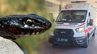 Bahçesinde gördüğü yılanı vurmak isterken dehşet saçtı: Yaralılar var!