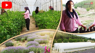 Devlet hibesi ile çorak araziler tarım merkezine döndü, kadınlar da kendi işinin patronu oldu!
