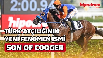 Türk atçılığının yeni fenomen ismi Son Of Cooger
