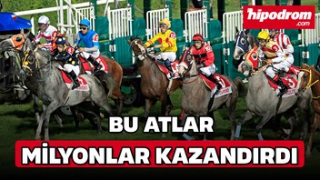 Bu atlar milyonlar kazandırdı
