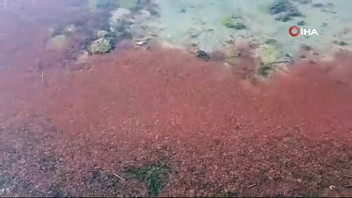 Çanakkale'de sahil şeridi kırmızıya büründü