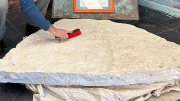 Okuldaki taş parçasında onlarca dinozor ayak izleri bulundu