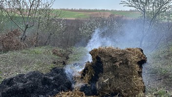 Trakya'daki tarlalarda dikkat çeken olay: Her yerden dumanlar yükseliyor!
