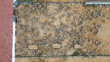 Türkiye'nin en renkli buluşması böyle görüntülendi...