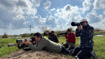 Bu iki sevimli canlı Türkiye'de ilk kez görüldü