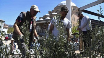 Ankara Büyükşehir Belediyesi'nin üreticilere destekleri sürüyor