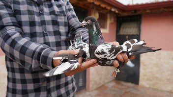 42 yıllık hobisi sayesinde işini bırakıp kendi işinin patronu oldu!