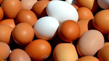 Sofralık yumurta ihracatına ''kısmi'' muafiyet geldi