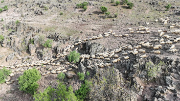 Türkiye'nin her yıl tekrarlanan büyüleyici ''Şafaklılar'' yolculuğu başladı...