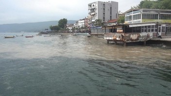 Yaz aylarının mide bulandıran kabusu denizlerimize geri döndü!