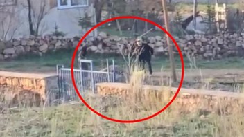 Türkiye'de hayvanseverler ayaklandı! İki ayaklı cani, 4 ayaklı canı sopayla döve döve öldürdü!