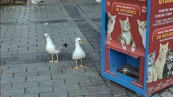 İstanbul'un en sempatik dolandırıcısı suçüstü yakalandı