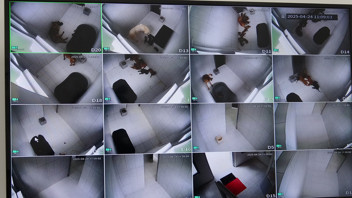 Türkiye'nin en sevimli ve en tehlikeli özel kuvvetleri kamerada