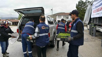 Ankara Büyükşehir'den 25 ilçede 9 bin üreticiye 10,5 milyon sebze fidesi