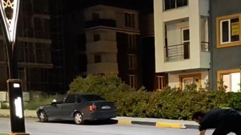 Şehre inen çakal başını derde sokunca insanlardan böyle yardım istedi