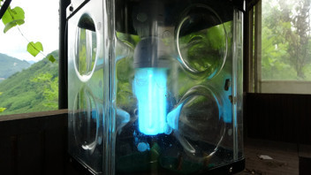 Ne sebze bıraktılar ne de meyve... Türkiye'nin uçan istilacısının başına para ödülü kondu!