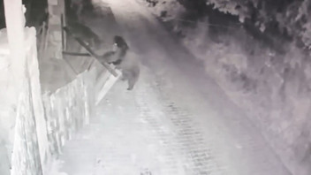 Korku saçan davetsiz misafir kamerada: Gece yarısı dağdan indi!