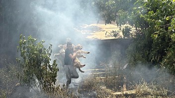 Alevler içerisinde kalan köpekleri tek tek böyle kurtardılar