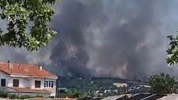 Edirne'de büyük orman yangını! Dumanlar her yeri sardı...