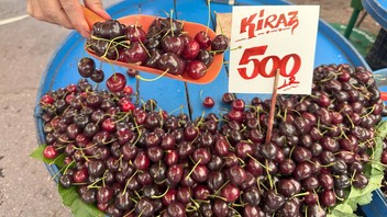 Yazın şifa kaynağı, en lezzetli meyvesinin fiyatını gören gözlerine inanamadı!