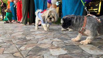 Engelli hayvanlar mankenlerle birlikte podyumdaydı