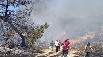 Sizin piknikteki çay keyfiniz batsın! Semaveri yakarken ormanı da yaktılar!