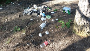 Binlerce kez yazıklar olsun! İstanbul'un cennetini cehenneme çevirdiler!