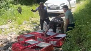 Türkiye'nin bin 400 personellik çok özel katil kene ile mücadele timi doğaya salındı!