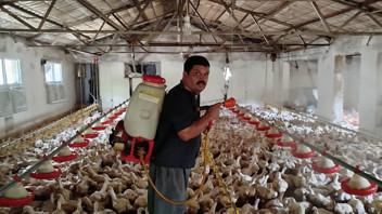 Tavuk üreticisinin aşırı sıcaklarla mücadelede bulduğu yöntemle dikkat çekti