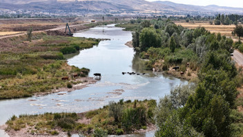 Gören Serengeti Ovası sanıyor ama burası Türkiye'de...