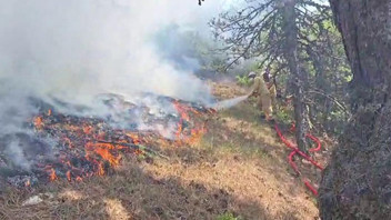 Bolu'da yerleşim yerine yakın bölgede orman yangını