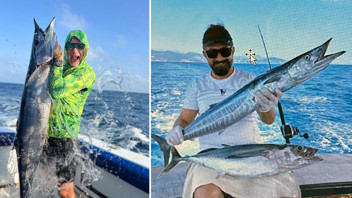 Kızıldeniz'den Akdeniz'e büyük göç: Sayıları 72'ye ulaştı