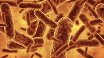 Bilim insanlarından tarihi adım: Sadeleştirilmiş ve değiştirilmiş yeni bir bakterimiz oldu