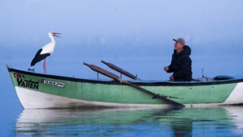 Yaren leylek bu yıl erken göçtü, Adem amca gözyaşları içinde veda etti...