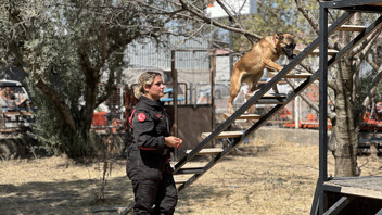 Türkiye'nin çok özel 4 ayaklı timinin zorlu eğitimleri görüntülendi