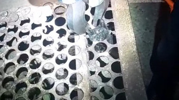 Mazgaldan kurtarıp, adını da Mazgal koydular!