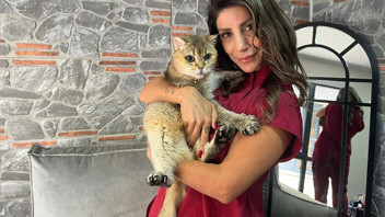 Ankaralı kedi Artas'ın sağlık sorunu ve uygulanan tedavi ''yok artık'' dedirtti!