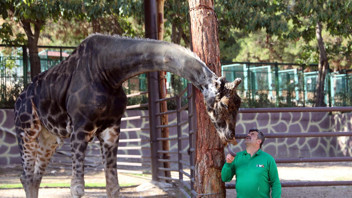 Türkiye'nin en büyük hayvanat bahçesi kışa hazır