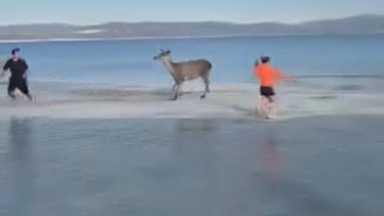 Salda'nın maskotu Türkiye'nin Maldivleri'nde büyük sürpriz yaptı