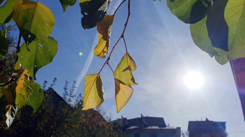 Önce yağış ardından pastırma yazı geliyor: Sıcaklıklar 30 dereceye çıkacak!