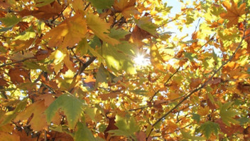 Yağışlı hava Türkiye'yi terk ediyor, yaz geri dönüyor!